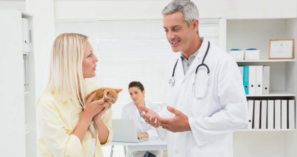 female owner holding kitten while she talks to male vet at clinic